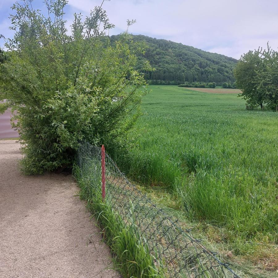 Ferienwohnung Rudat Treuchtlingen Kültér fotó